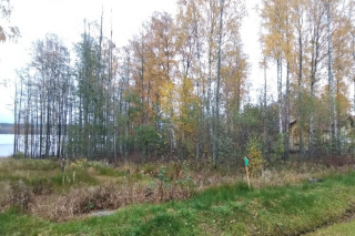 Квартира