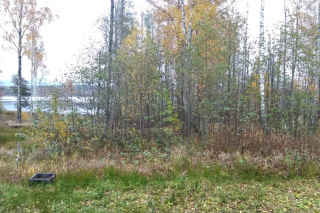 Квартира